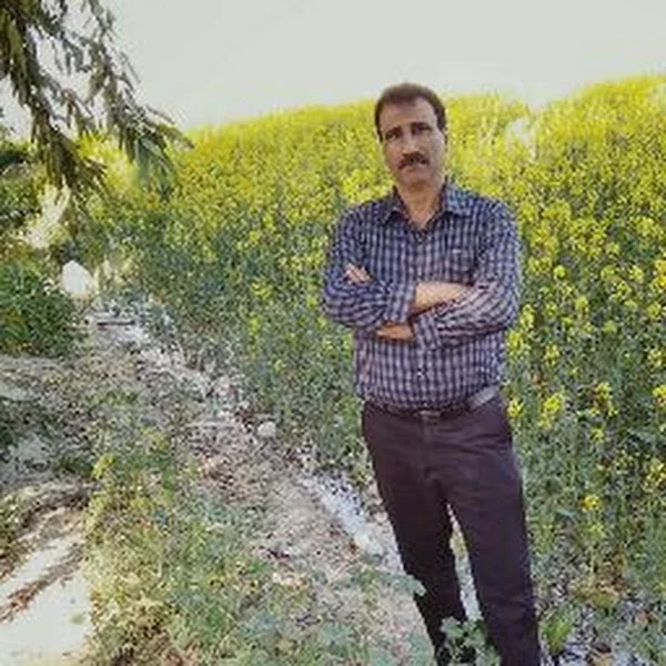 جمشید برخورداری