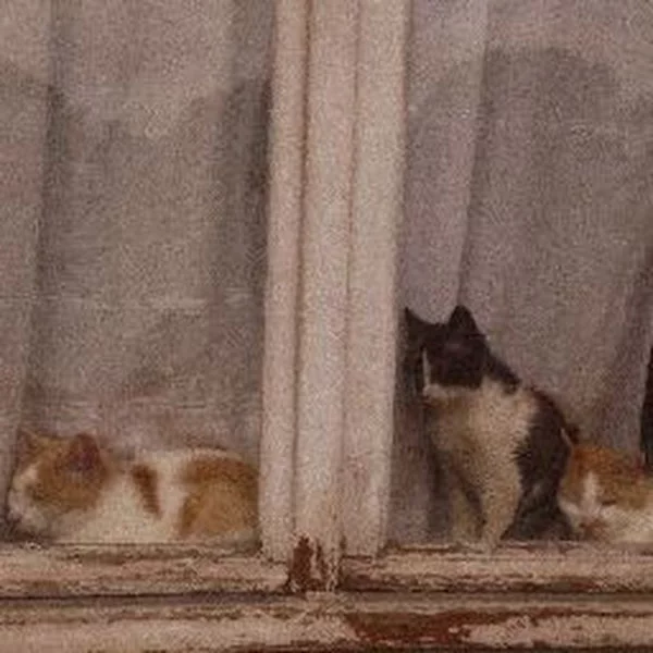 کاربر
