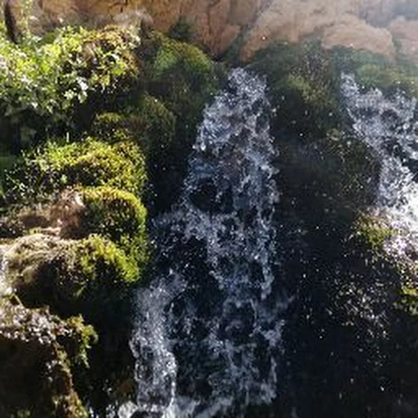 کاربر
