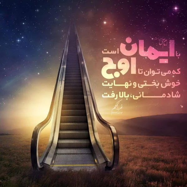 کاربر