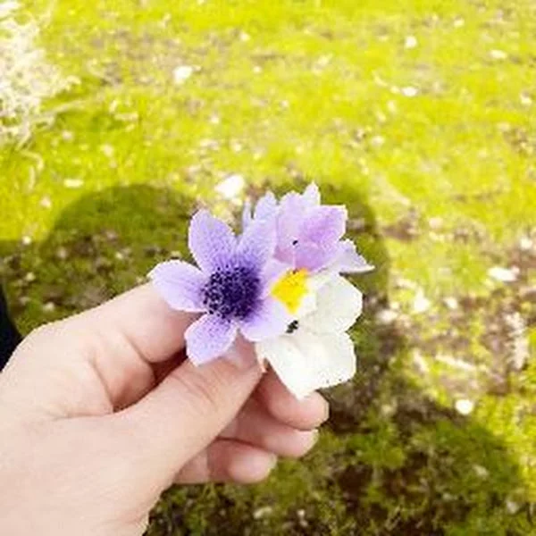 کاربر