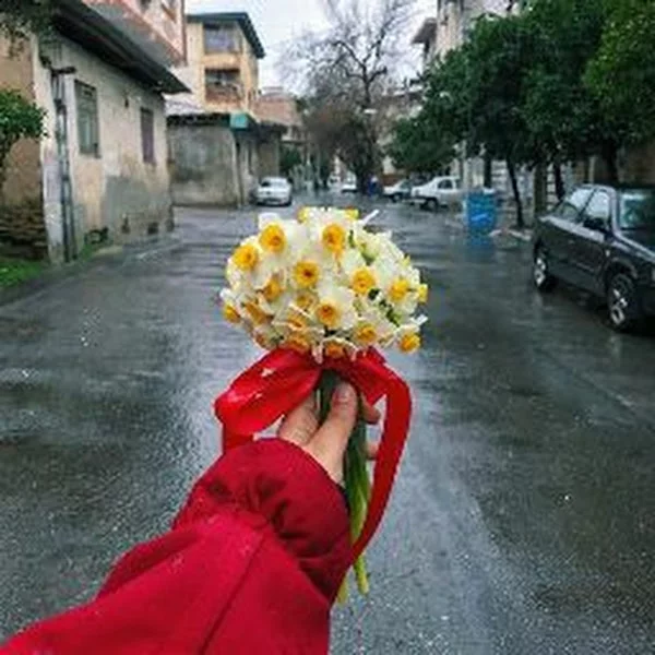 کاربر