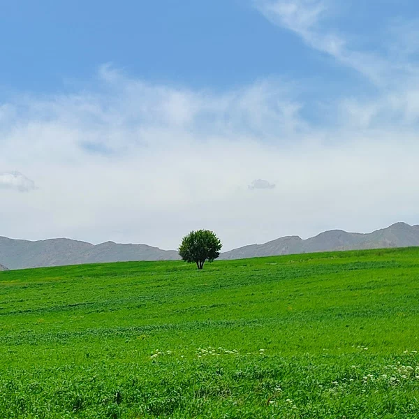 کاربر