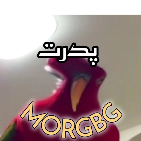 کاربر