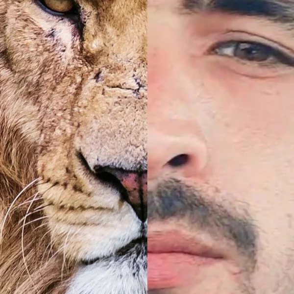 کاربر