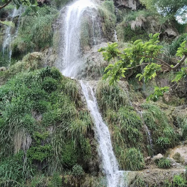کاربر
