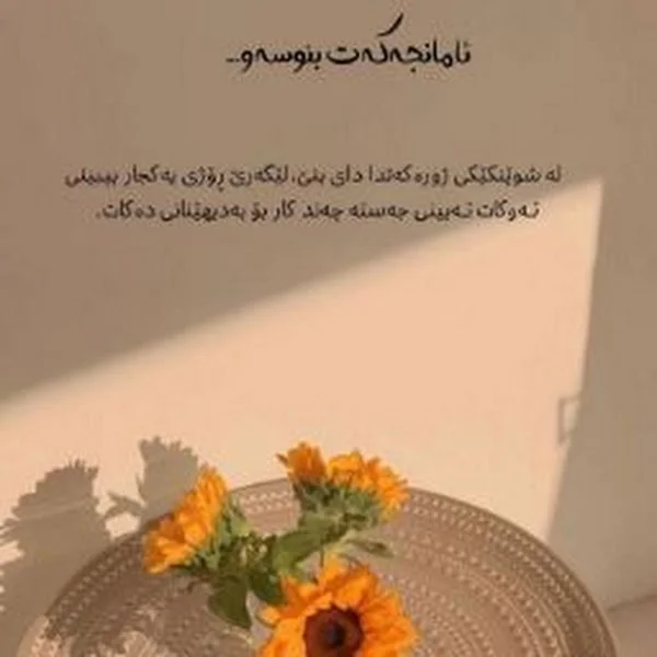 کاربر