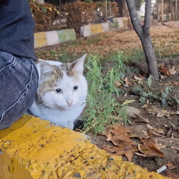 کاربر