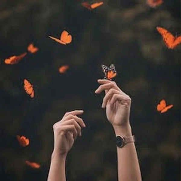 کاربر