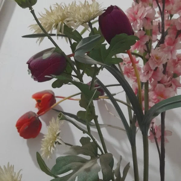 کاربر