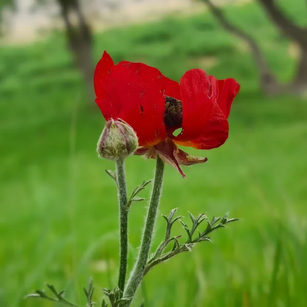 کاربر