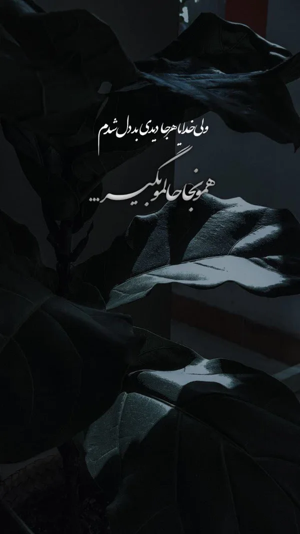 کاربر