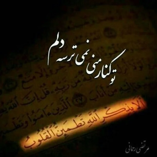 کاربر