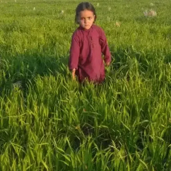 کاربر