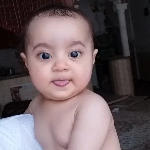 کاربر