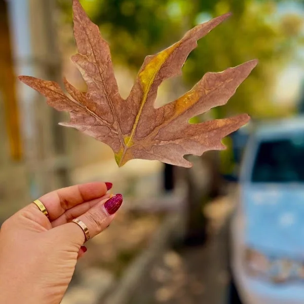 کاربر