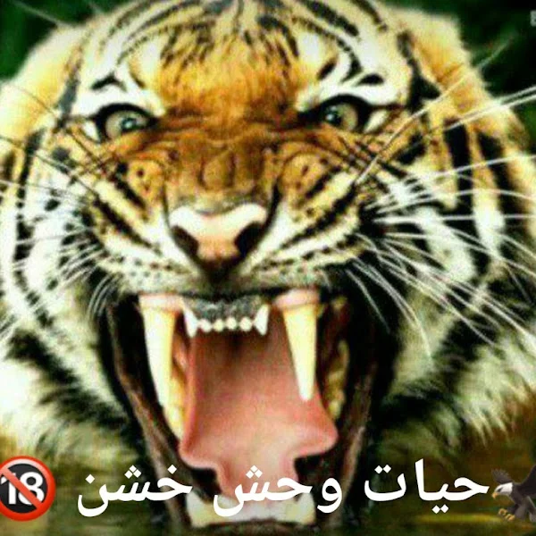 کاربر