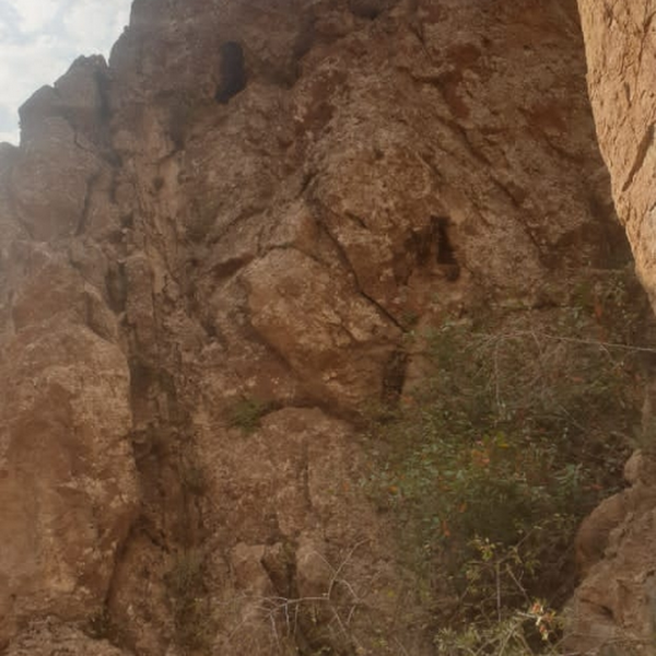 کاربر