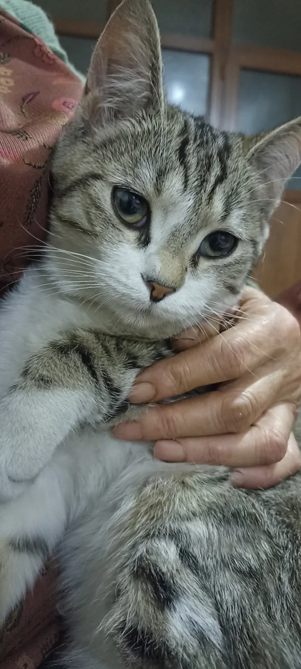 کاربر