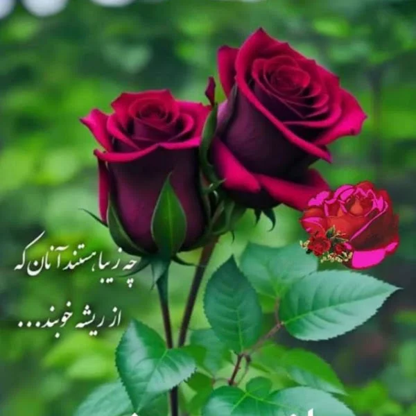 کاربر