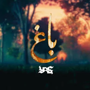 کاربر