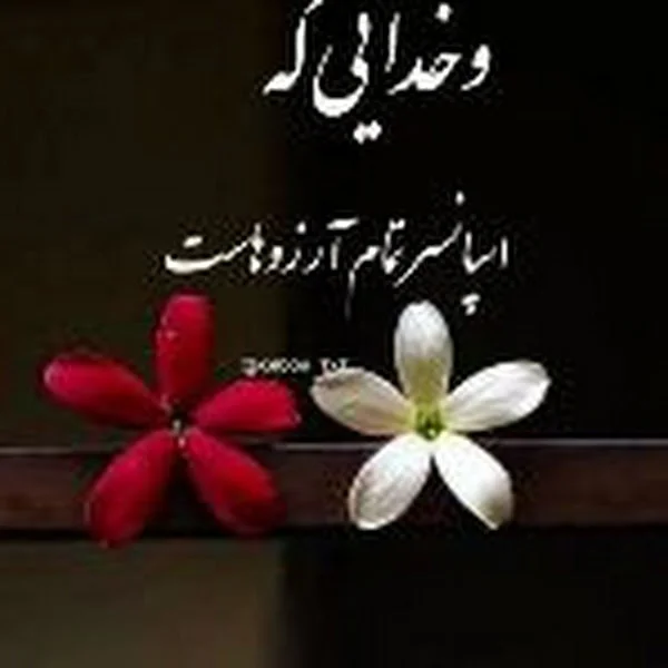 کاربر