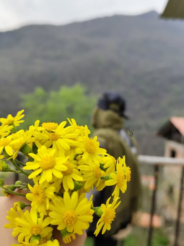 کاربر