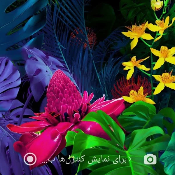 کاربر