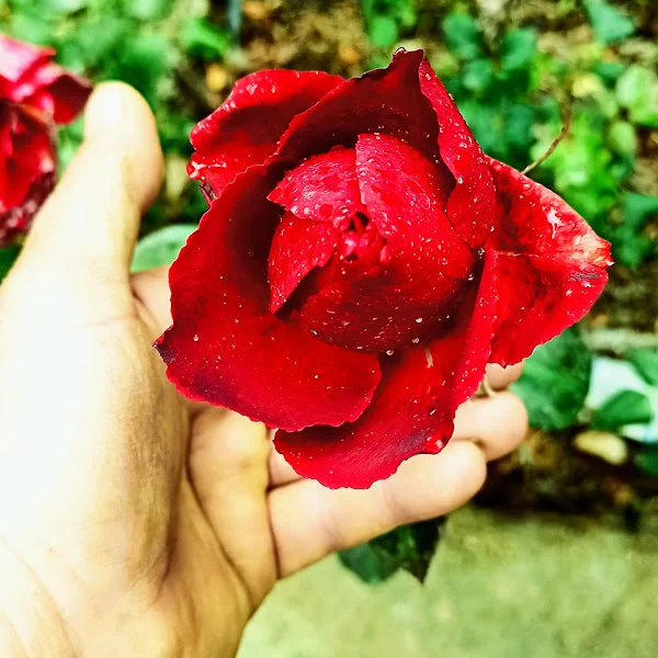 کاربر