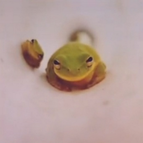 کاربر