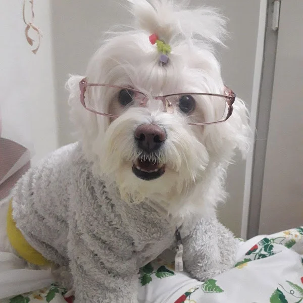کاربر