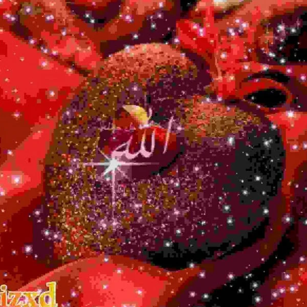 کاربر