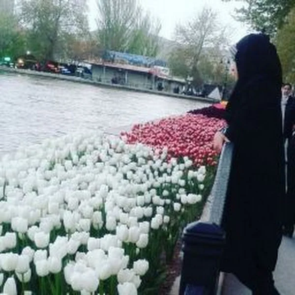 کاربر