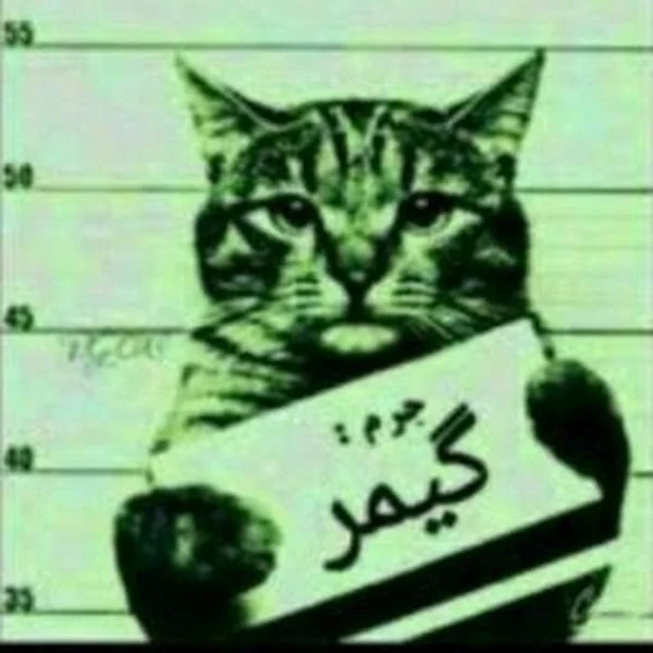 کاربر