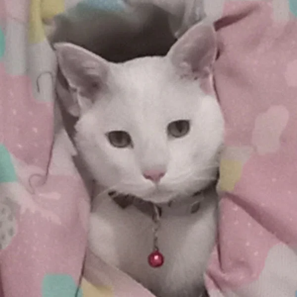 کاربر