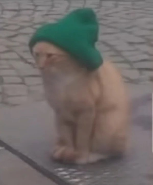 کاربر