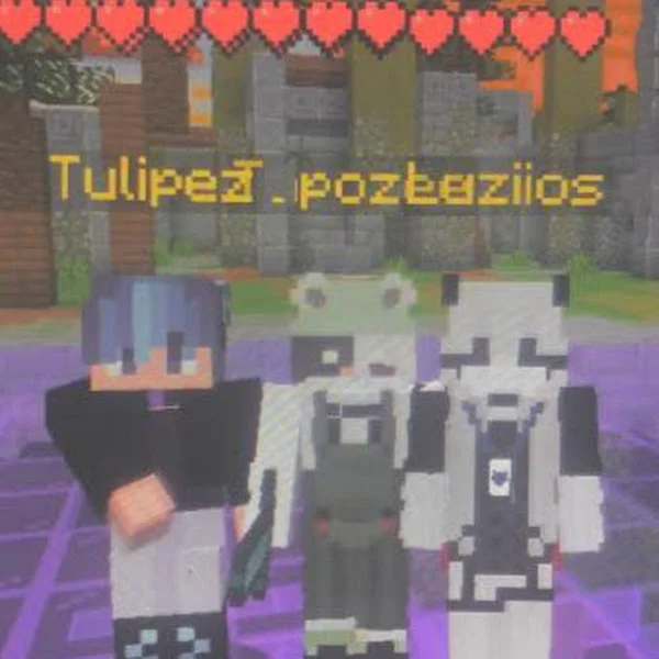VV Vv