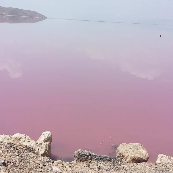 کاربر