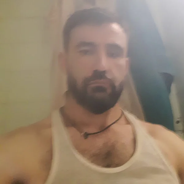 sajad Alizada