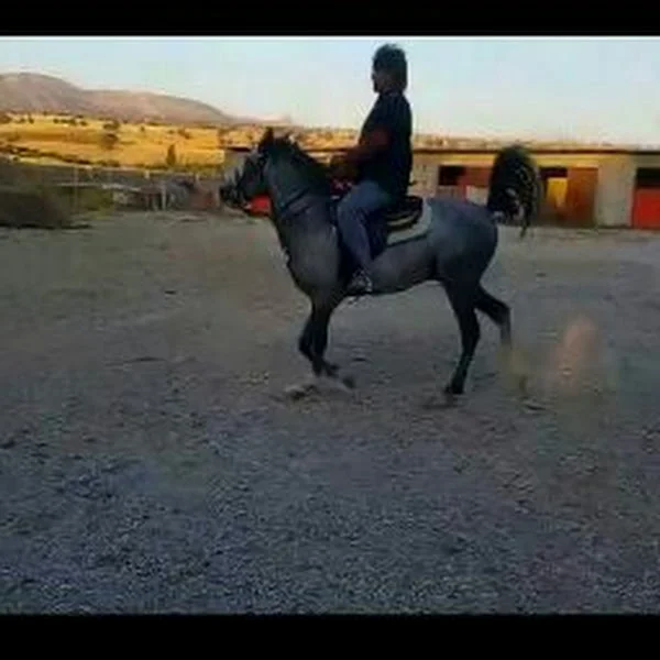 کاربر
