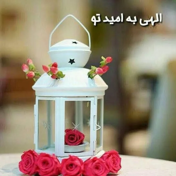 کاربر