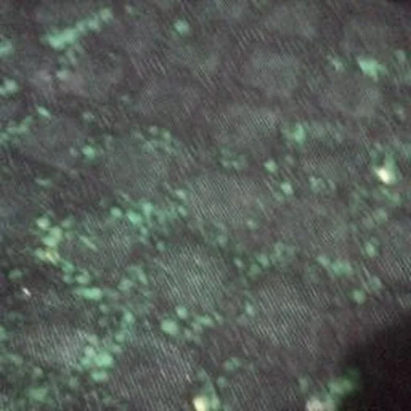 کاربر