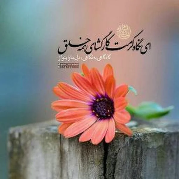 کاربر