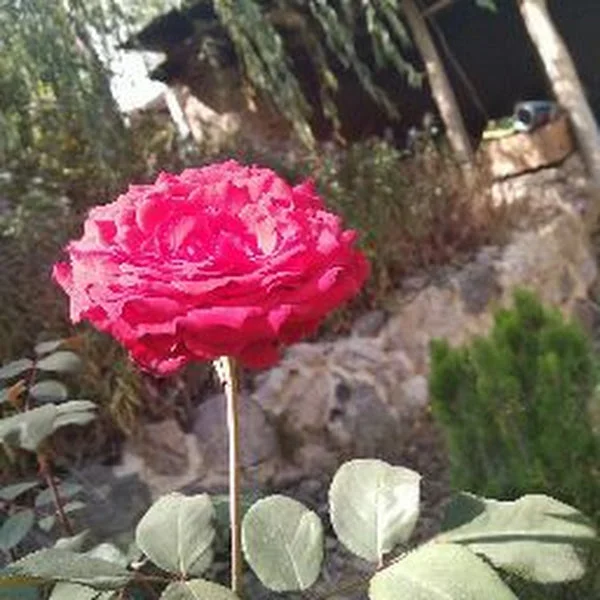 کاربر