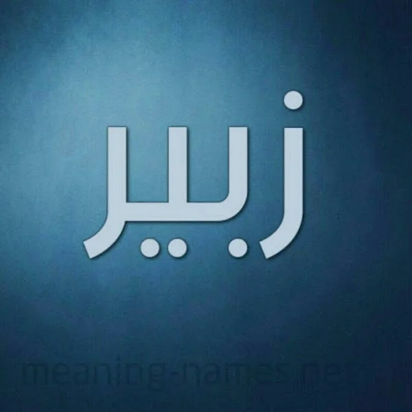 کاربر