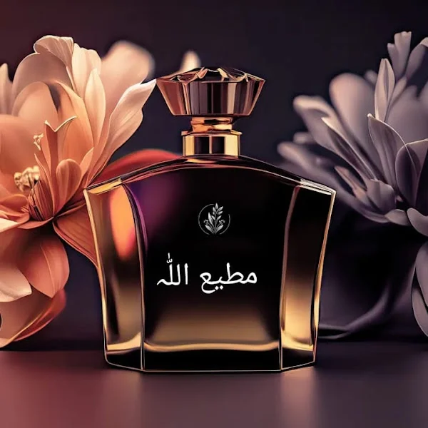 کاربر