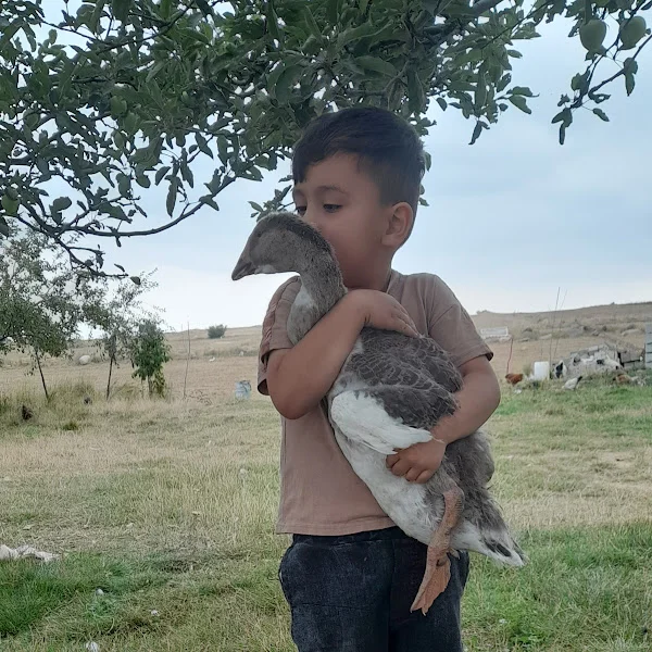 کاربر
