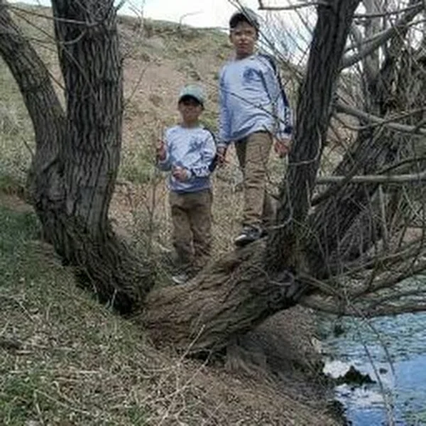 کاربر