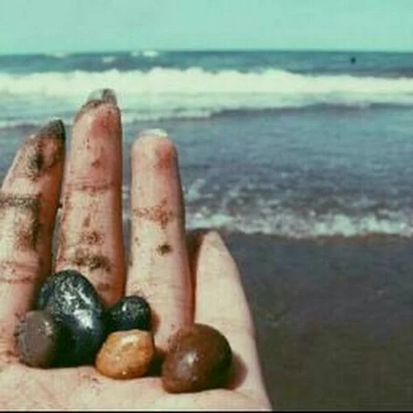 کاربر
