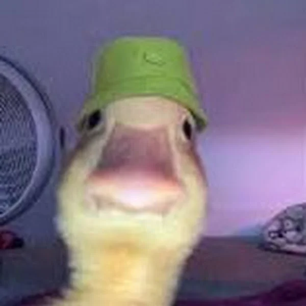 کاربر